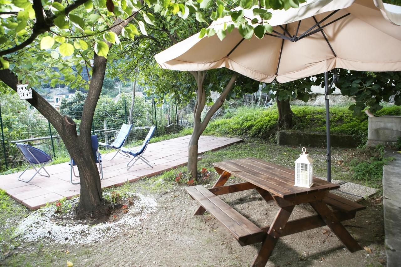 Casa Rosa Appartamento Con Giardino 切塔拉 外观 照片